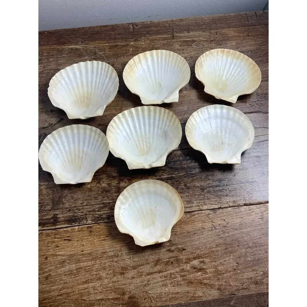Mid Century Natural Shell Appetizer Plates set of 7